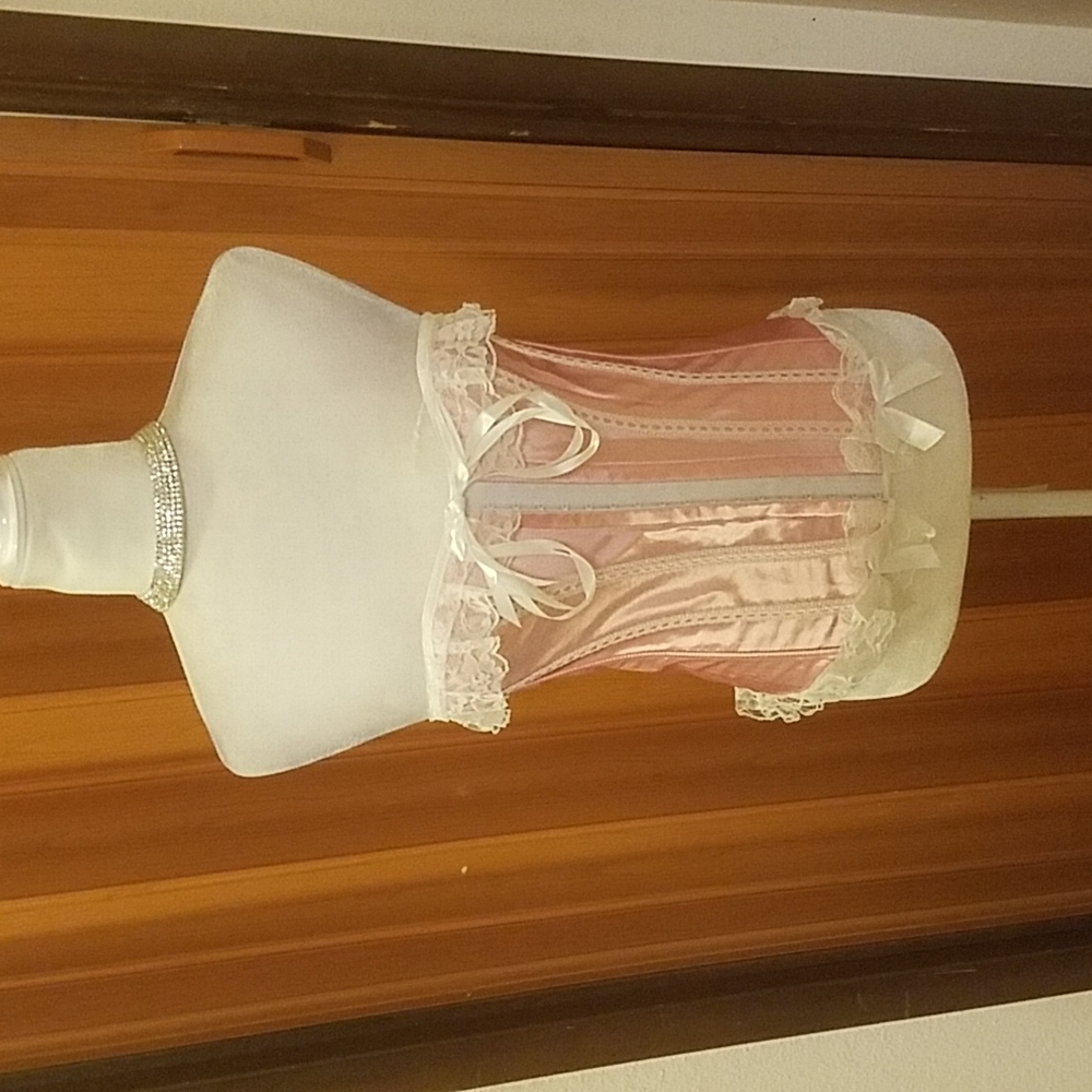 DAISY PINK AND WHITE SATIN AND LACE CORSET
